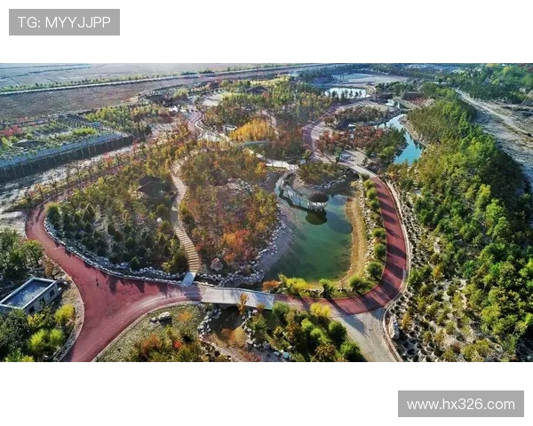 体育运动助力全民健康提升，推动社会和谐发展的新模式与未来展望