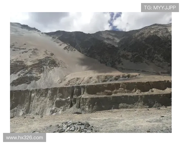 城市赛特别报道：TES战队的崛起与挑战之路全景回顾