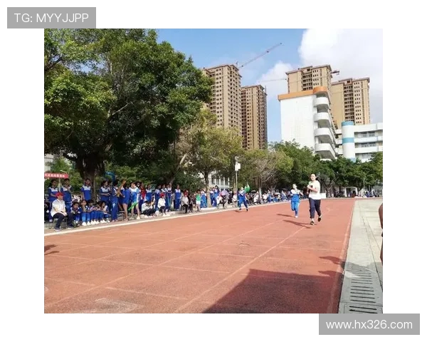 攀岩人生的深度对话：杨磊如何在挑战中找到自我与激情