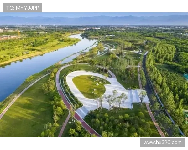 探索体育运动魅力促进全民健康与活力持续发展的综合全域新视角观察